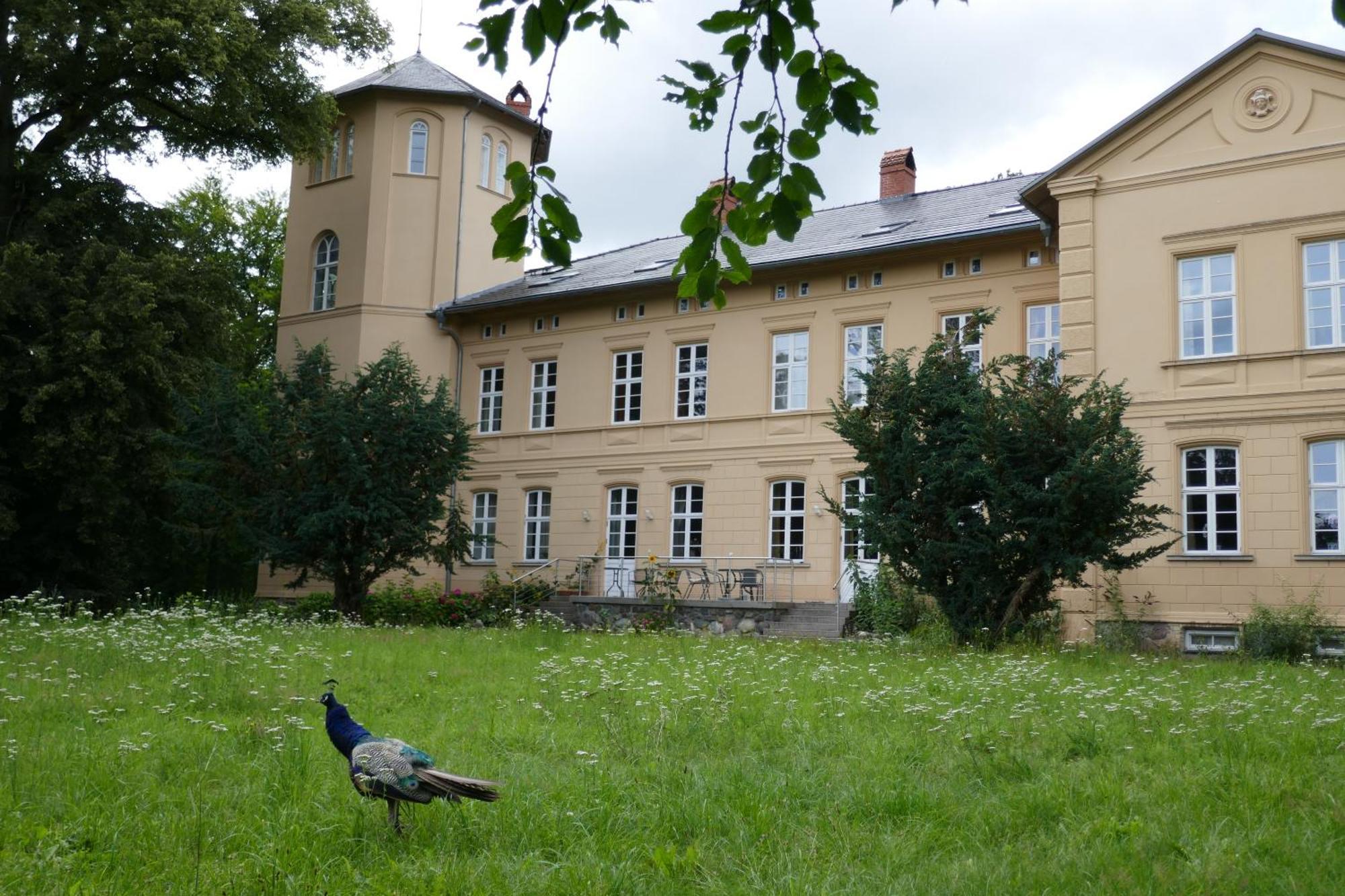 Landhaus Schloss Koelzow Kolzow Exteriér fotografie